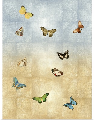 Butterflies Meet Up II