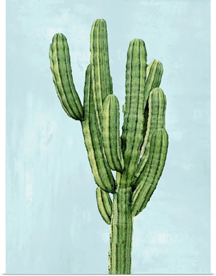 Cactus on Blue I