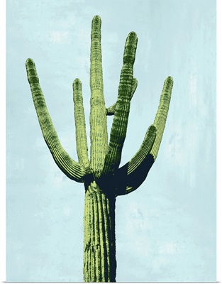 Cactus on Blue III