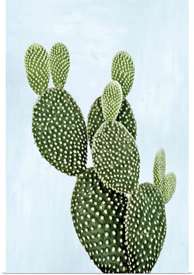 Cactus on Blue V