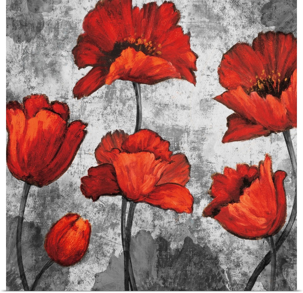 Square decor with six red poppies on a background made with grey tones and a few grey poppies.