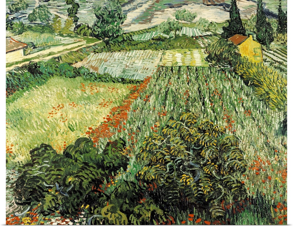 Feld mit Mohnblumen by Vincent Van Gogh.