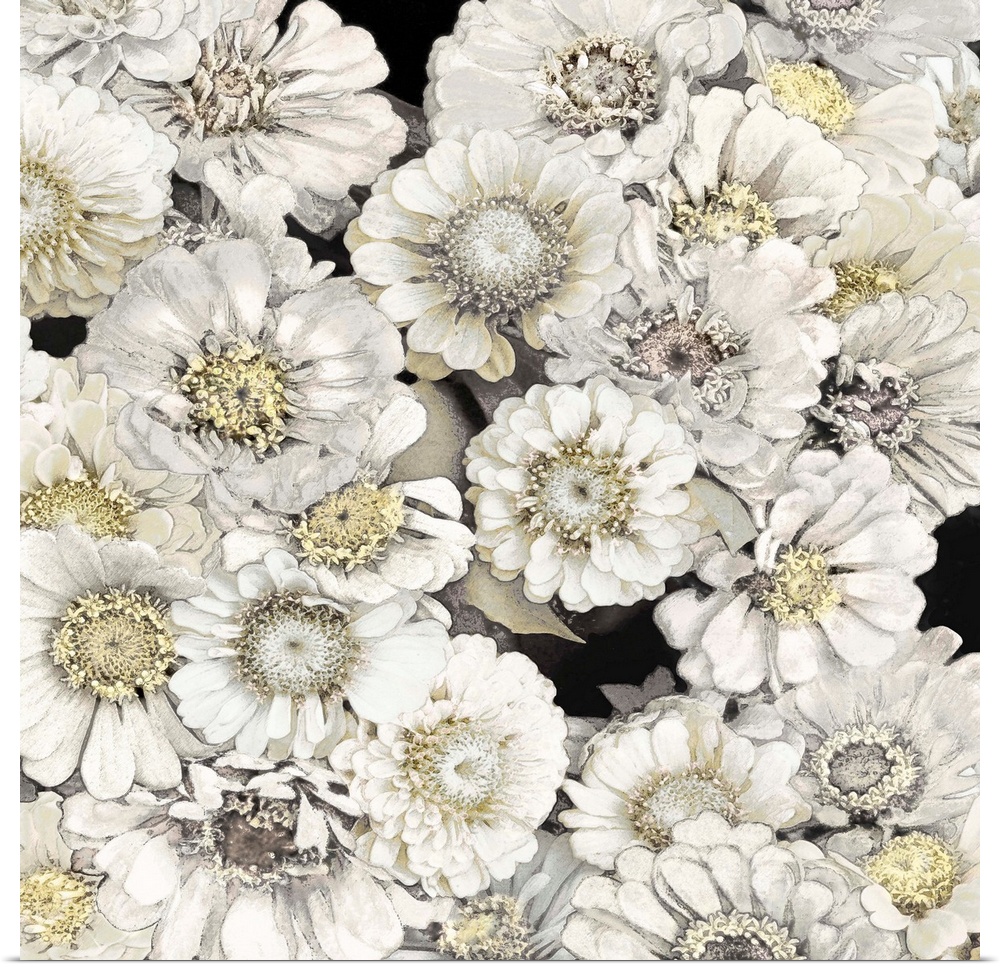 Decorative artwork featuring soft white flowers over a black background.