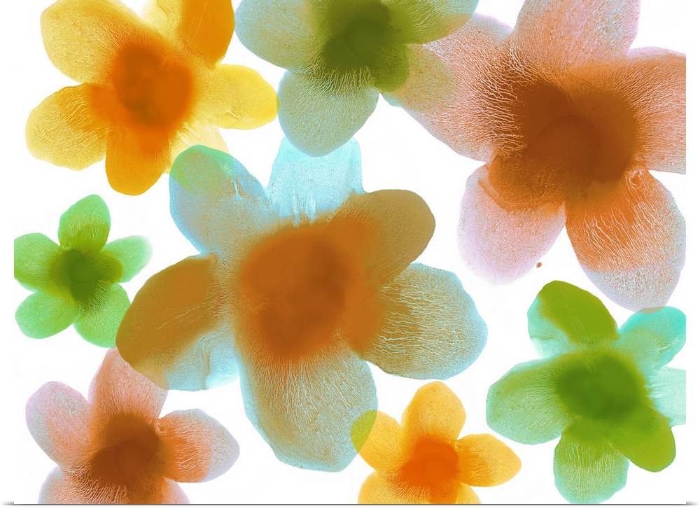 Large floral prints in shades of blue, green, yellow, orange, and pink on a solid white background.