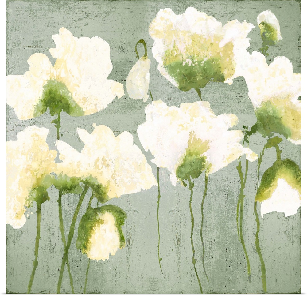 White watercolor poppies against a distressed gray background.