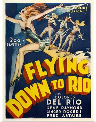 Flying Down To Rio