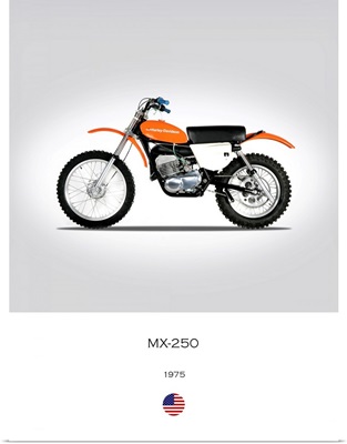 Harley Davidson MX 250 1975