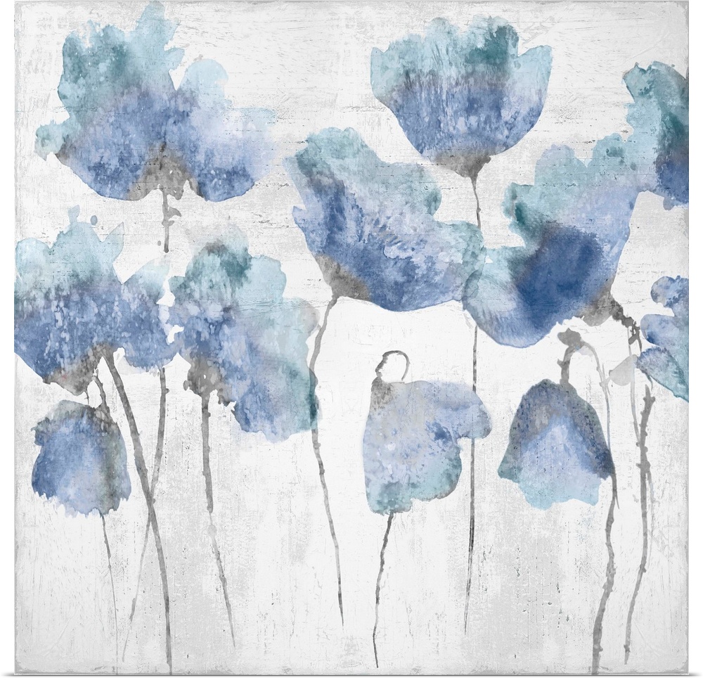 Blue watercolor poppies against a distressed white background.