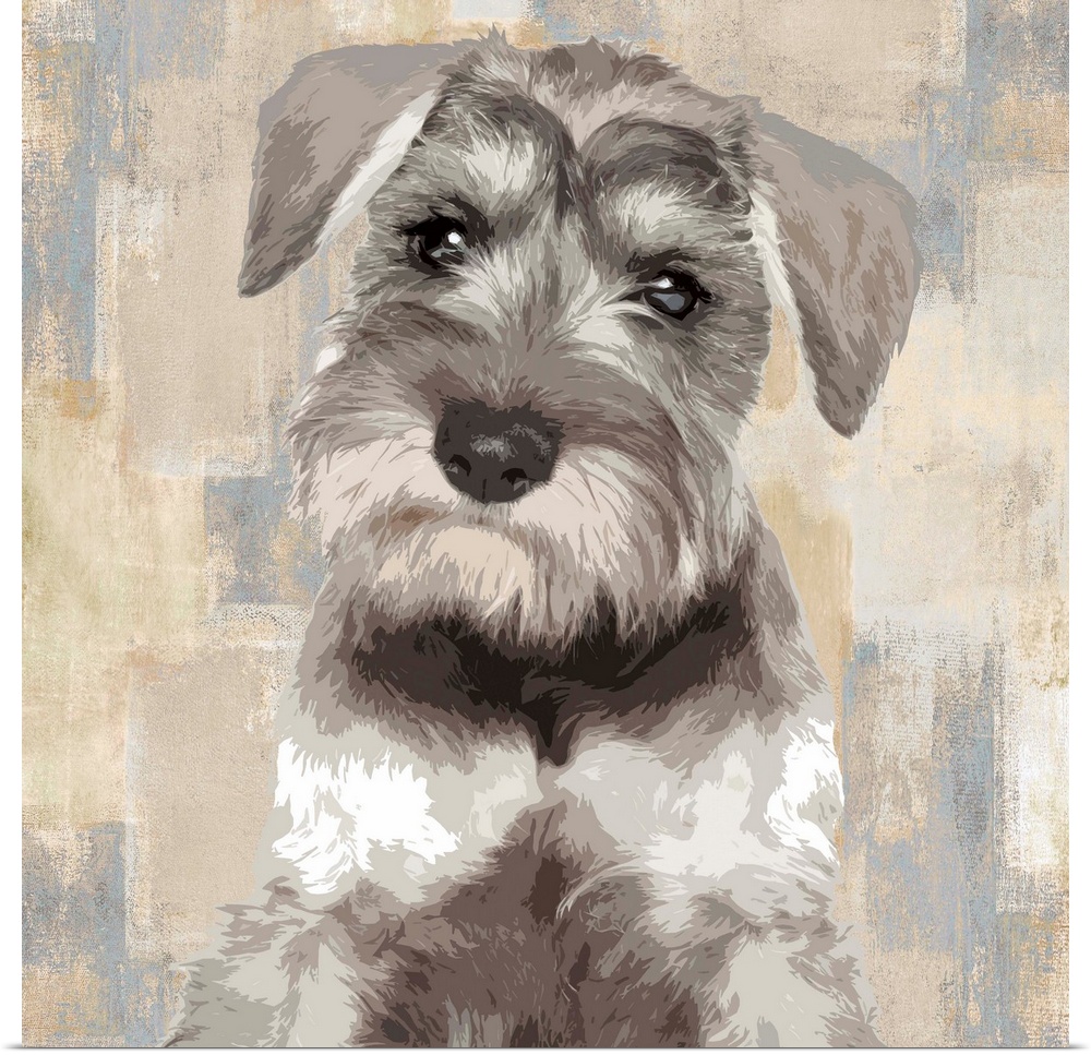 Square decor with a portrait of a Miniature Schnauzer on a layered gray, blue, and tan background.