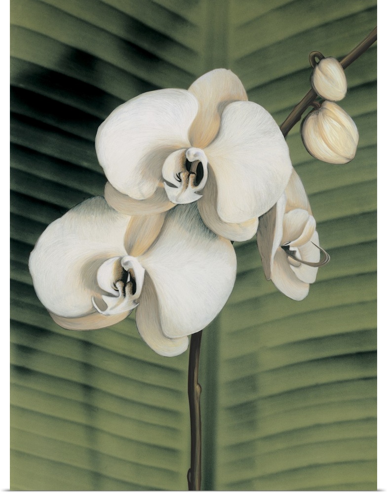 Contemporary painting of three white orchids with a palm leaf background.