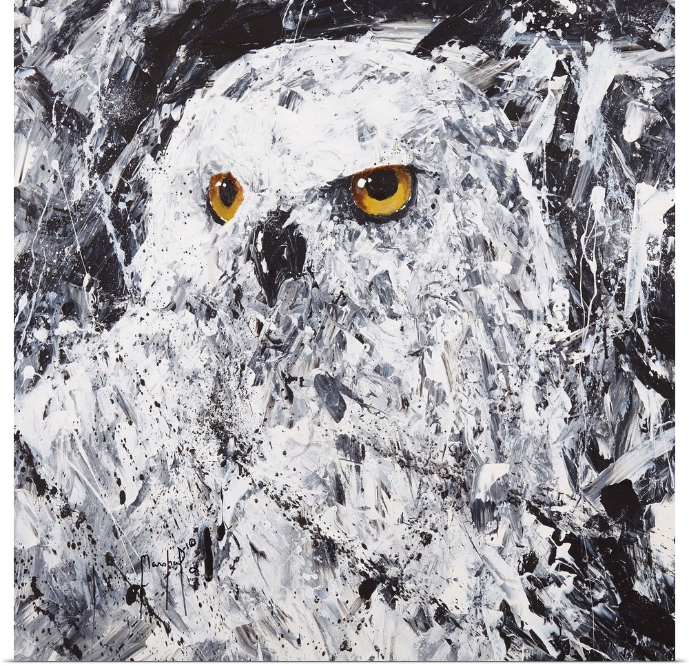 Square painting of an owl in black and white with gold eyes and abstract style brushstrokes.