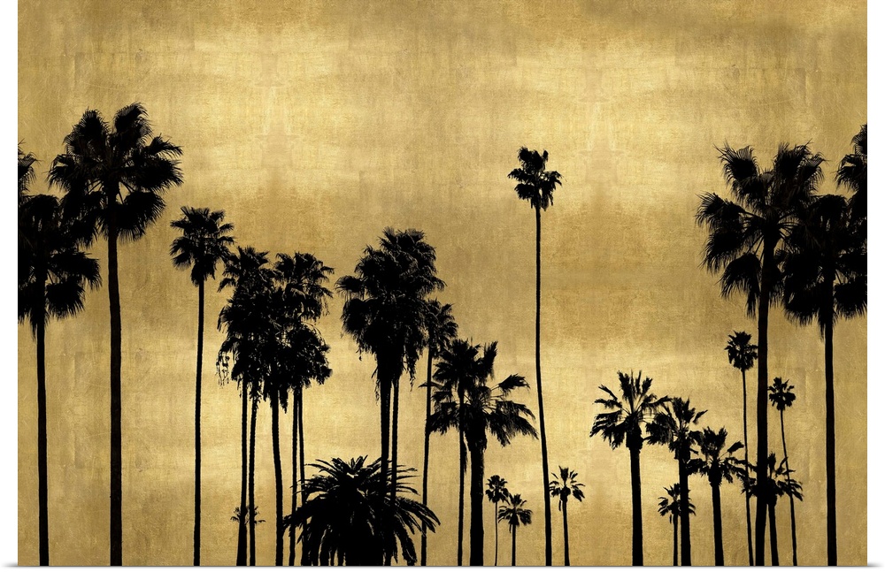 Decorative artwork featuring a black silhouette of palm trees over a distressed background.