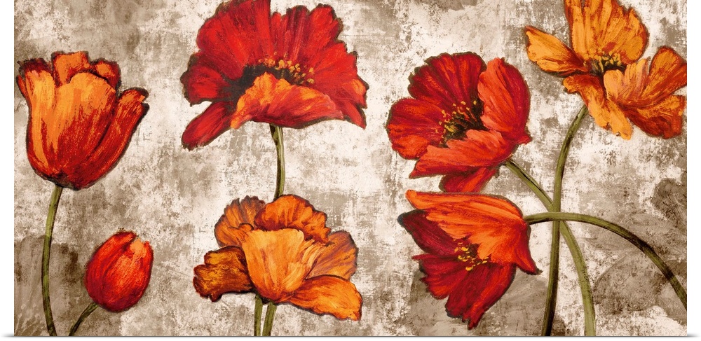 Wide painting of orange and red poppy flowers on a distressed white and brown background.