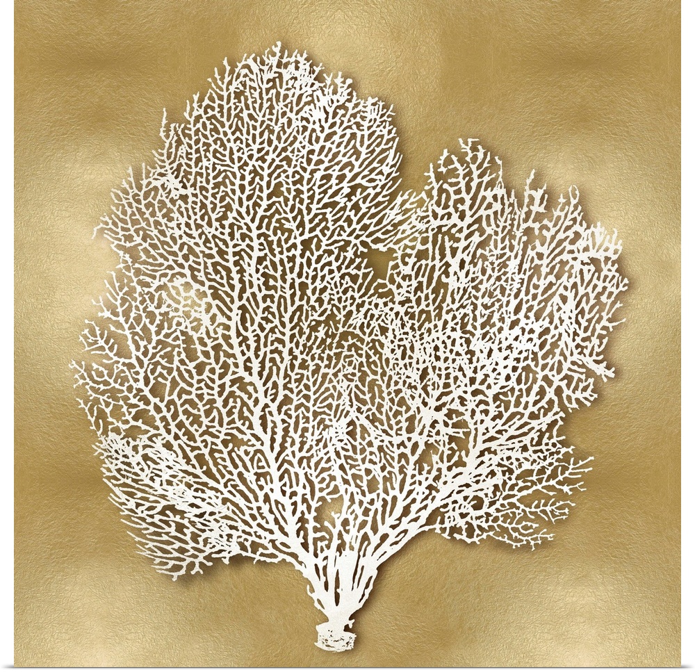 Square beach decor with white coral on a gold background.