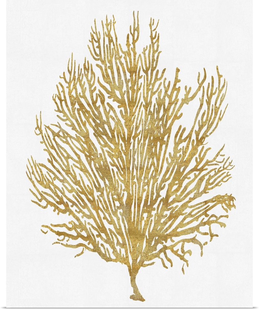 Gold silhouette of coral on a solid white background.