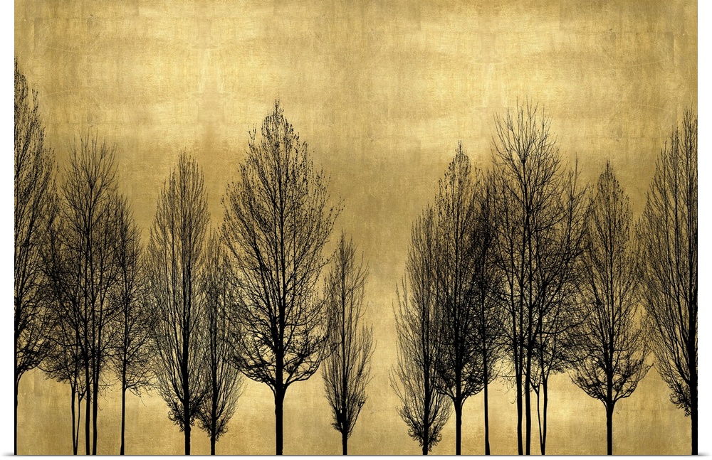 Decorative artwork featuring a black silhouette of leafless trees over a distressed background