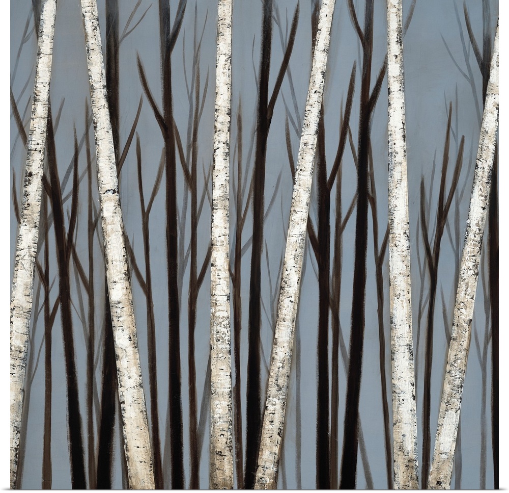 A square painting of a forest of birch trees with shadows of darker trees in the background.