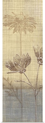 Botanical Sketchbook III