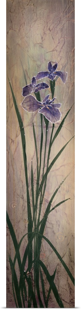 A long, slim vertical painting of a group of purple irises on a neutral backdrop with small faint swirls overlapping.