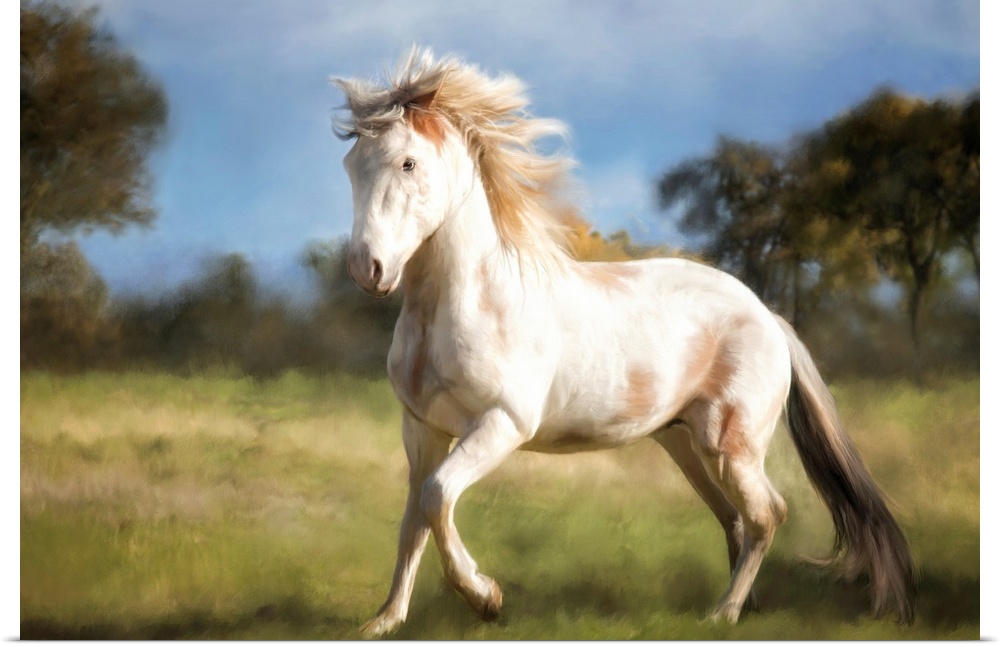 An image of a white horse trotting through a grassy field.