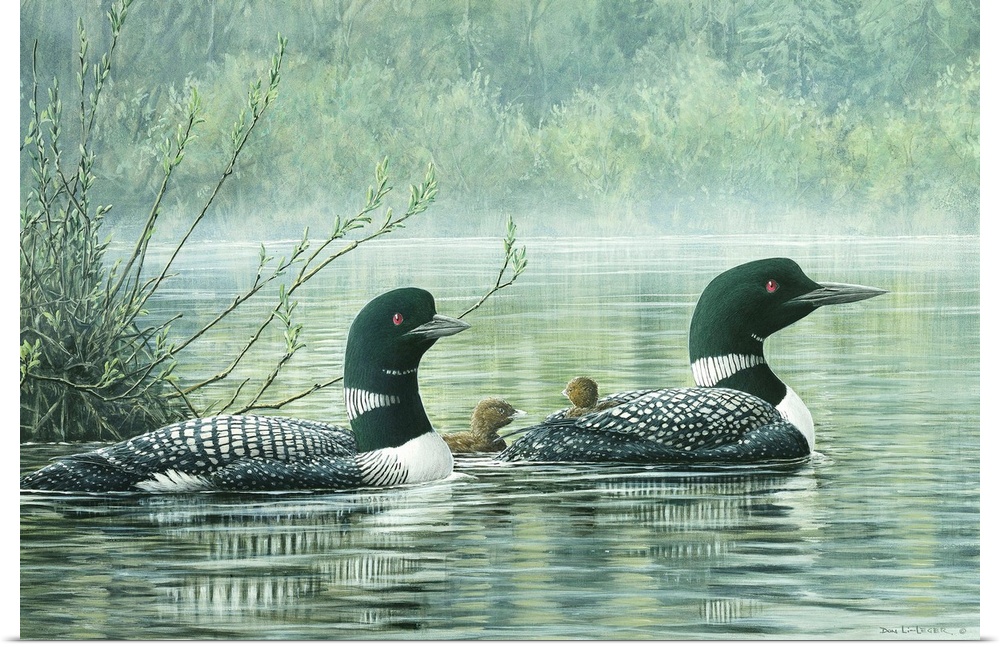 A contemporary painting of a pair of loons with chicks in a pond with trees in the background.