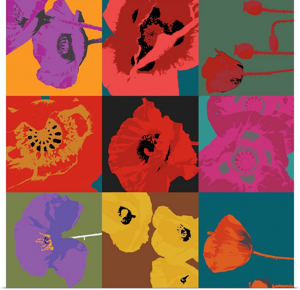 Modern artwork of bright colored poppies in a nine square design.