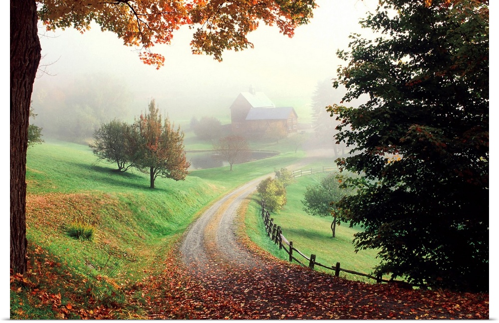 A tranquil setting of a country road leading to a farm in the misty morning.