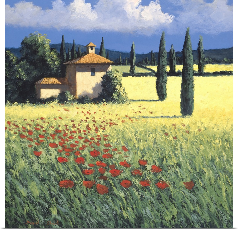 Painting of a field of poppies near a farm house in Tuscany.