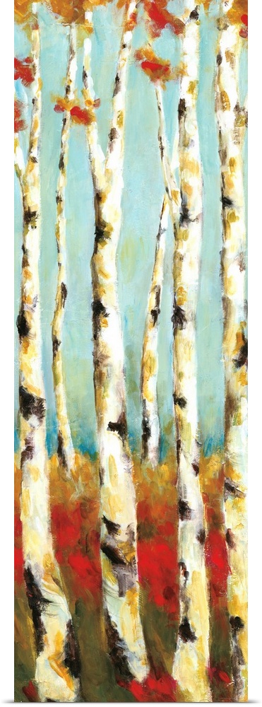 A long vertical painting of white birch trees with warm colored grass and leaves.