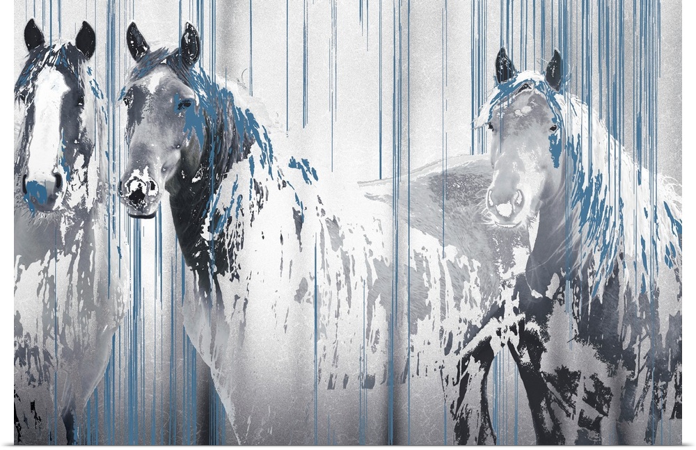 A composite image of three horses in tones of gray with drips of blue paint overlapping the image.