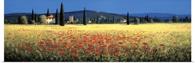 Tuscan Panorama, Poppies