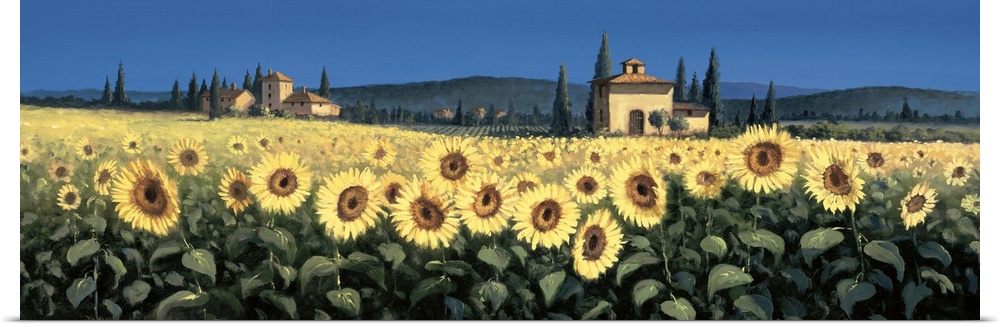 Contemporary artwork of a field of sunflowers in Tuscany.