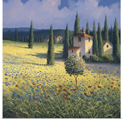 Tuscan Poppies I