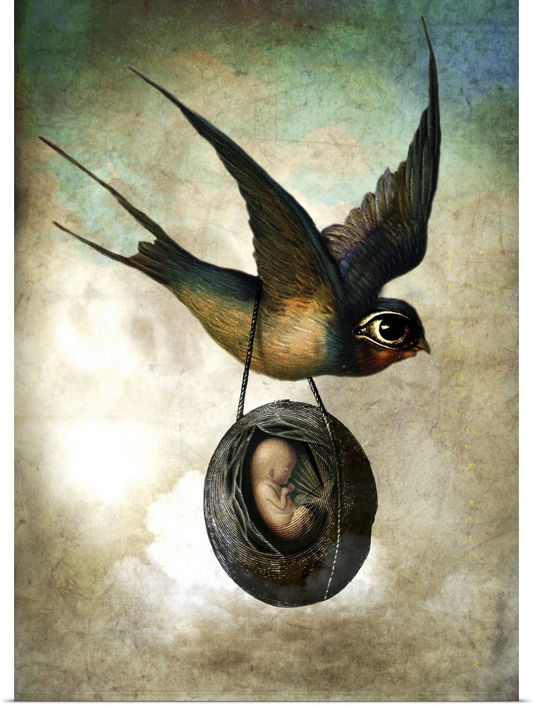 A bird with an over-sized eye carrying a husk with a unborn human baby in it.