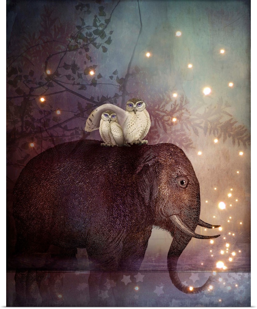 An elephant, standing in a small pond of water on a starry night, has a pair of white owls perched on his back.