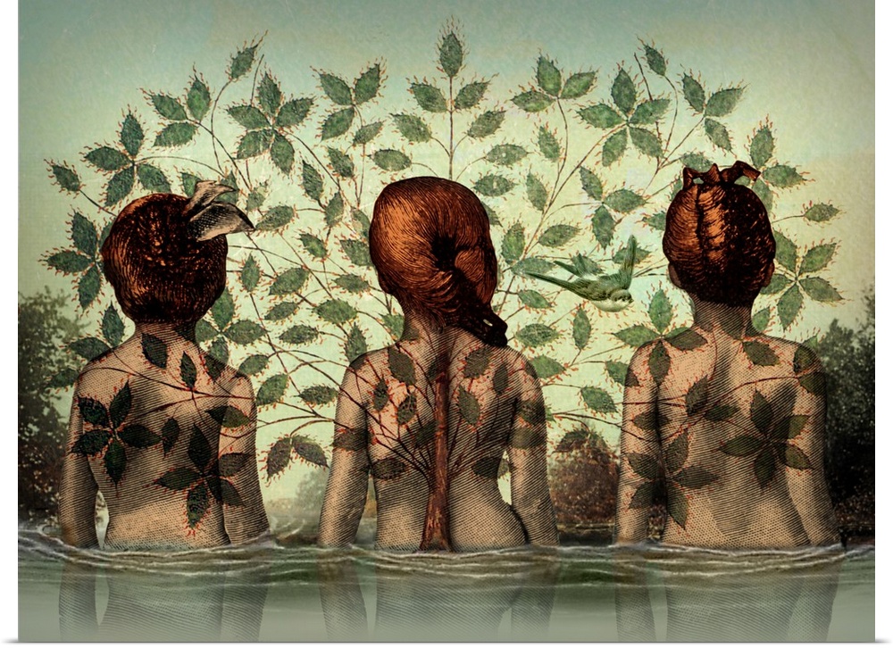 The backside of three woman standing in water with a tree overlapping them.