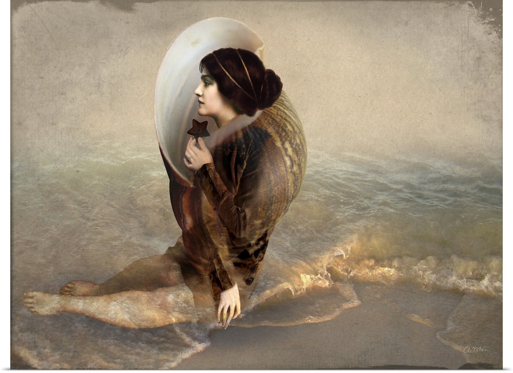 A lady who is part shell is sitting in the ocean waves.