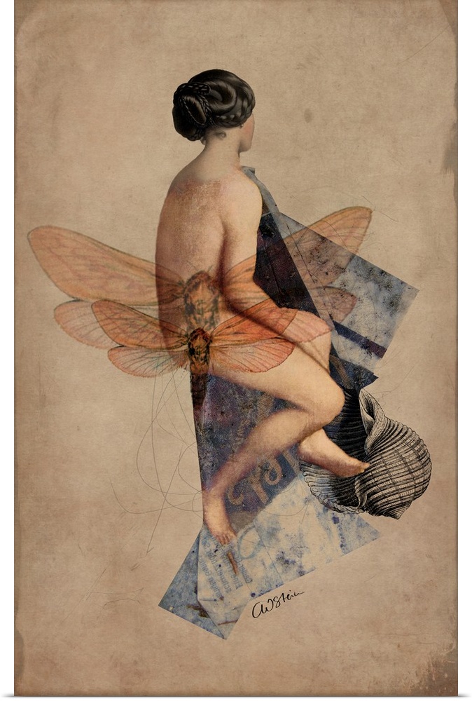 A nude woman with images of dragonflies overlapping.
