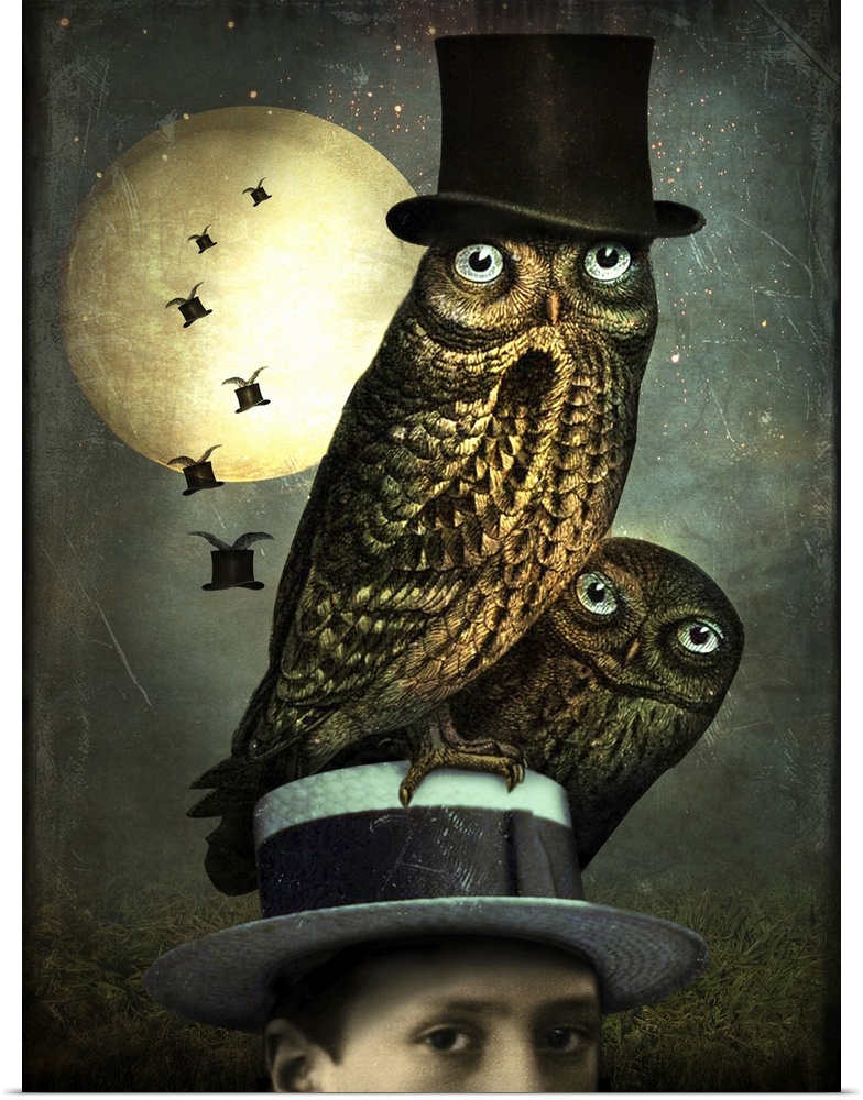 An abstract composite of two owls perked on top of a hat with flying top hats in the moonlight.
