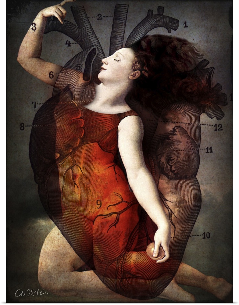 A digital composite of a female and heart diagram.