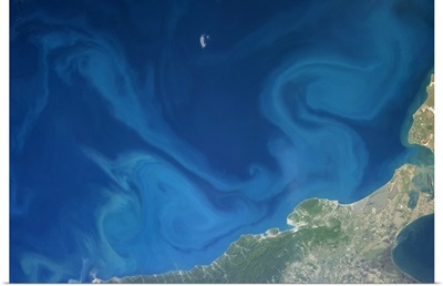 Dr. Seuss-inspired swirls in the Black Sea