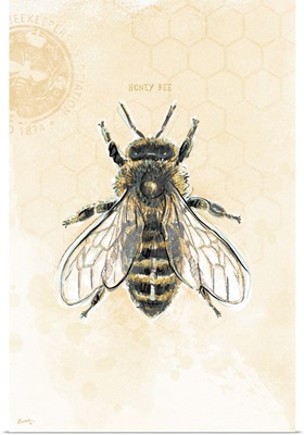 Bee Study