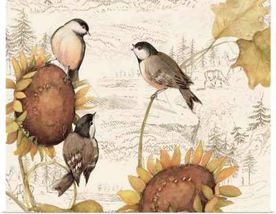 Birds on Sunflowers