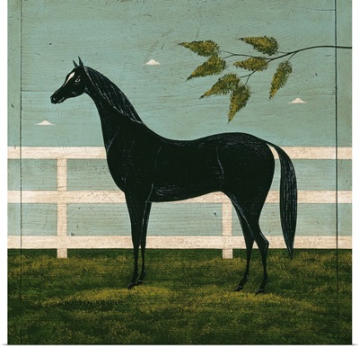 Black Horse Fenced