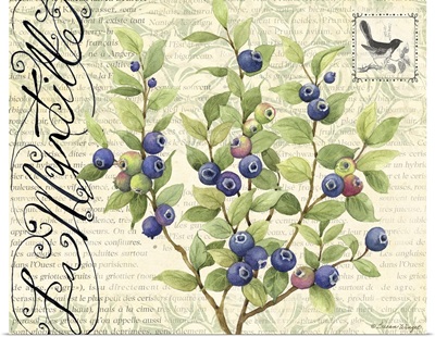 Botanical Blueberries