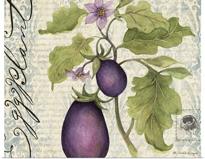 Botanical Eggplant