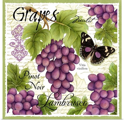 Botanical Grape