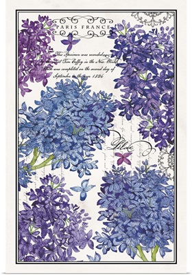 Botanical Lilacs
