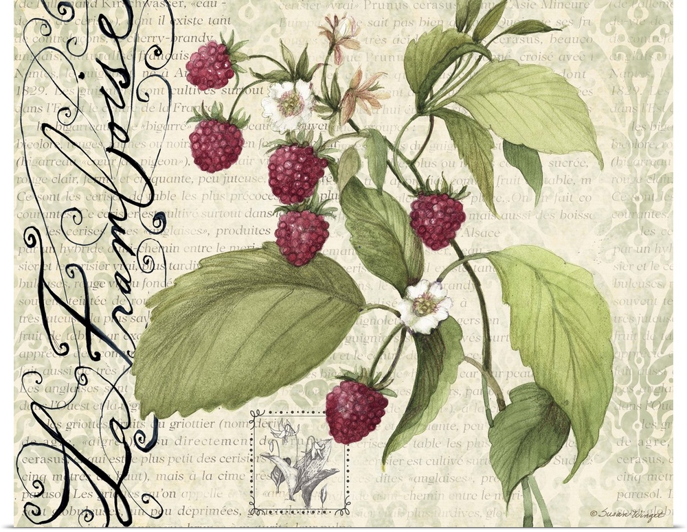 Elegant botanical fruit art with raspberries and leaves with text in the background.