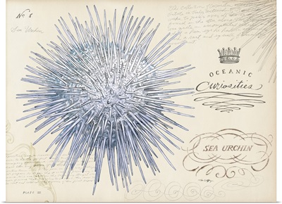 Botanical Sea Urchin